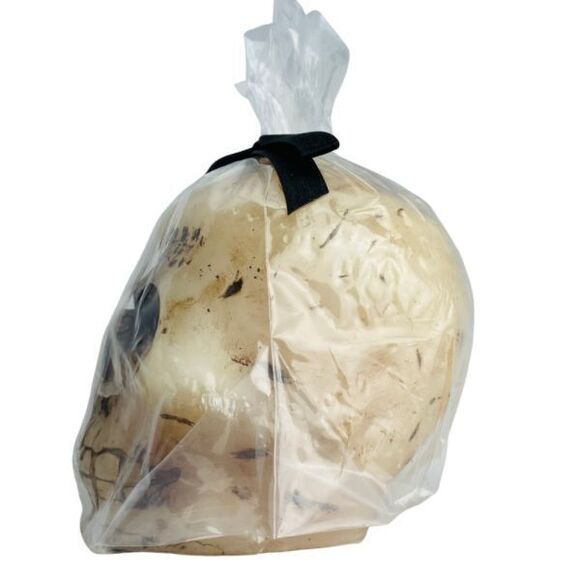 Holy Death Bleeding Skull 4 inch Figurine Image Figure Candle Wicca Santeria - Picture 3 of 7